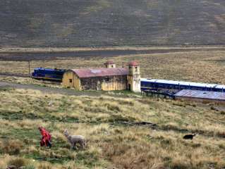 Traversée de l’Altiplano avec le Titicaca tren