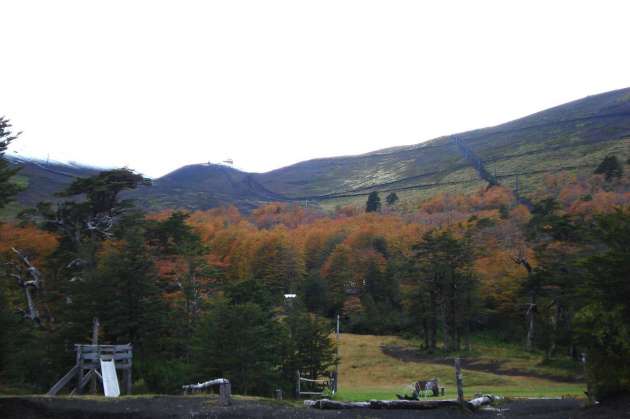 Antillanca