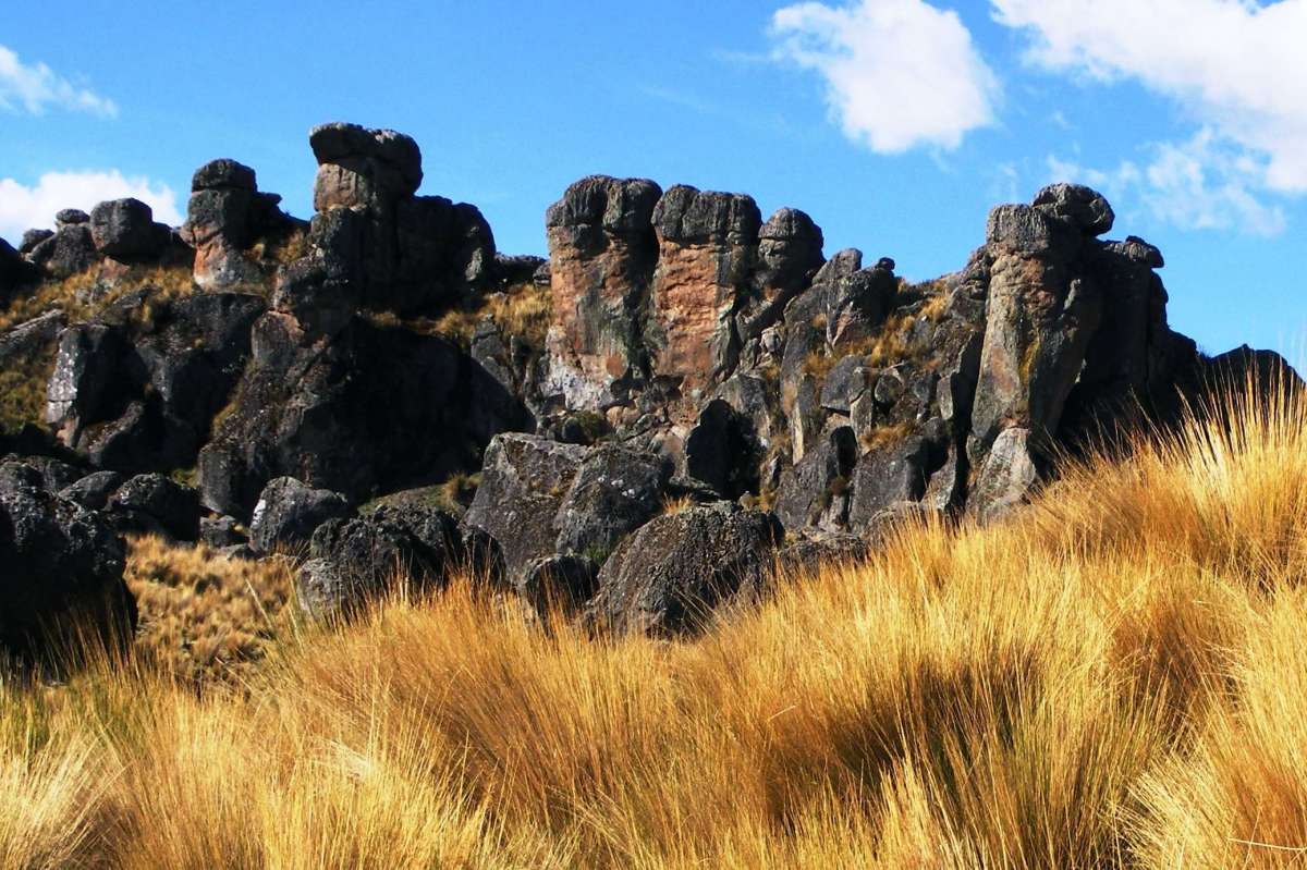 Bosque de piedras de Sachapite 