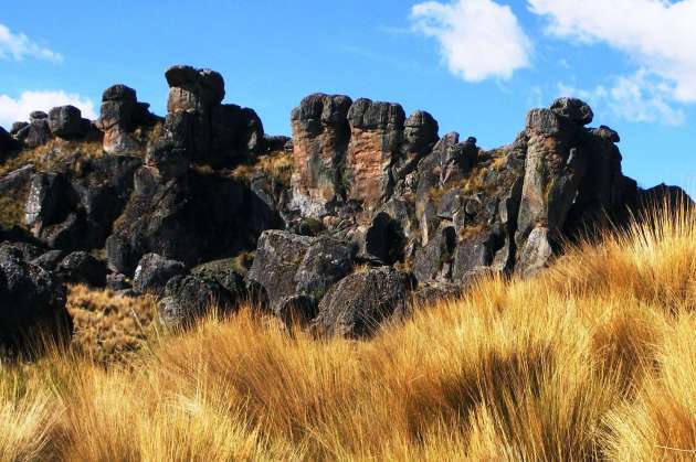 Bosque de piedras de Sachapite 