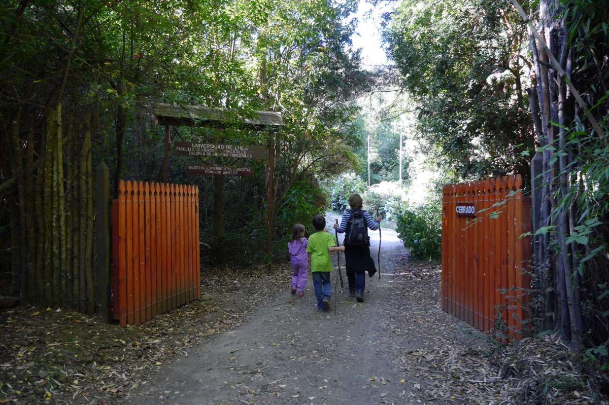 Centre expérimental forestier Edmundo Winkler 