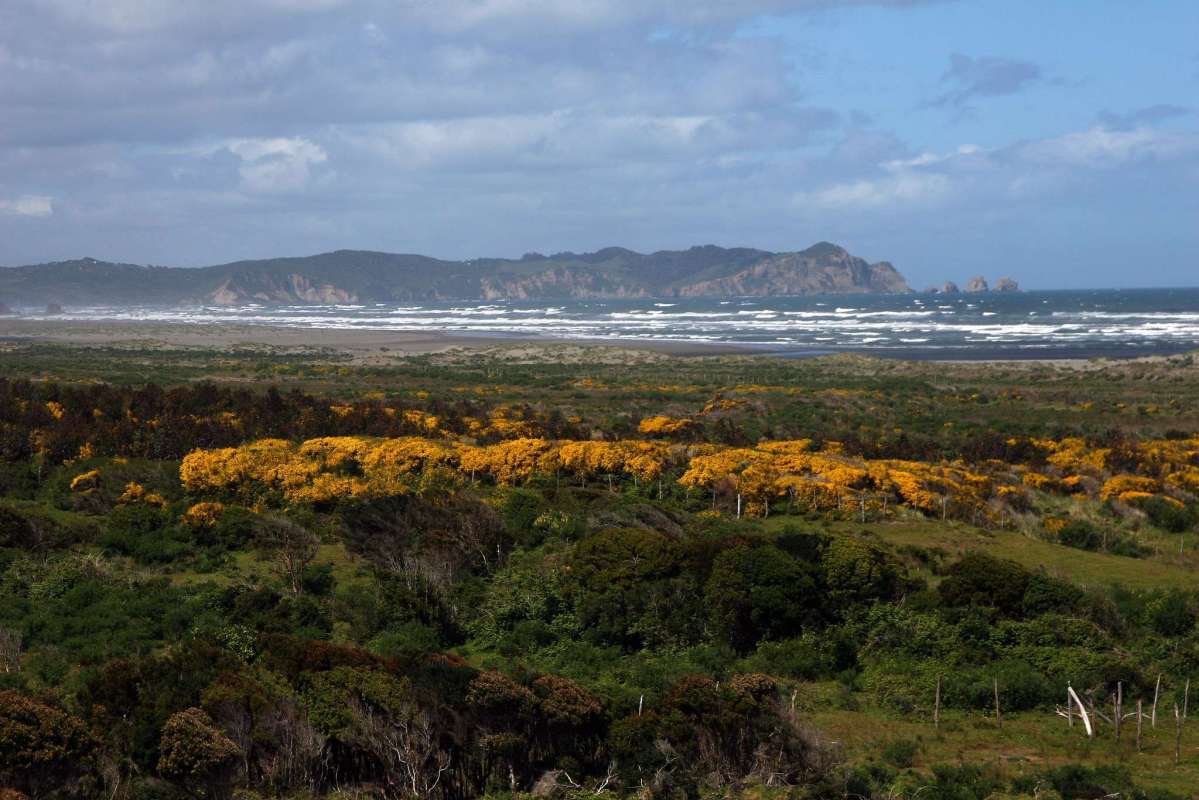 Parc national de Chiloe 