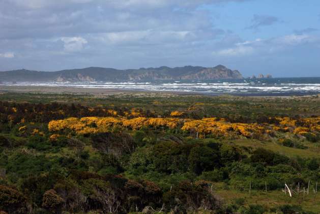 Parc national de Chiloe 