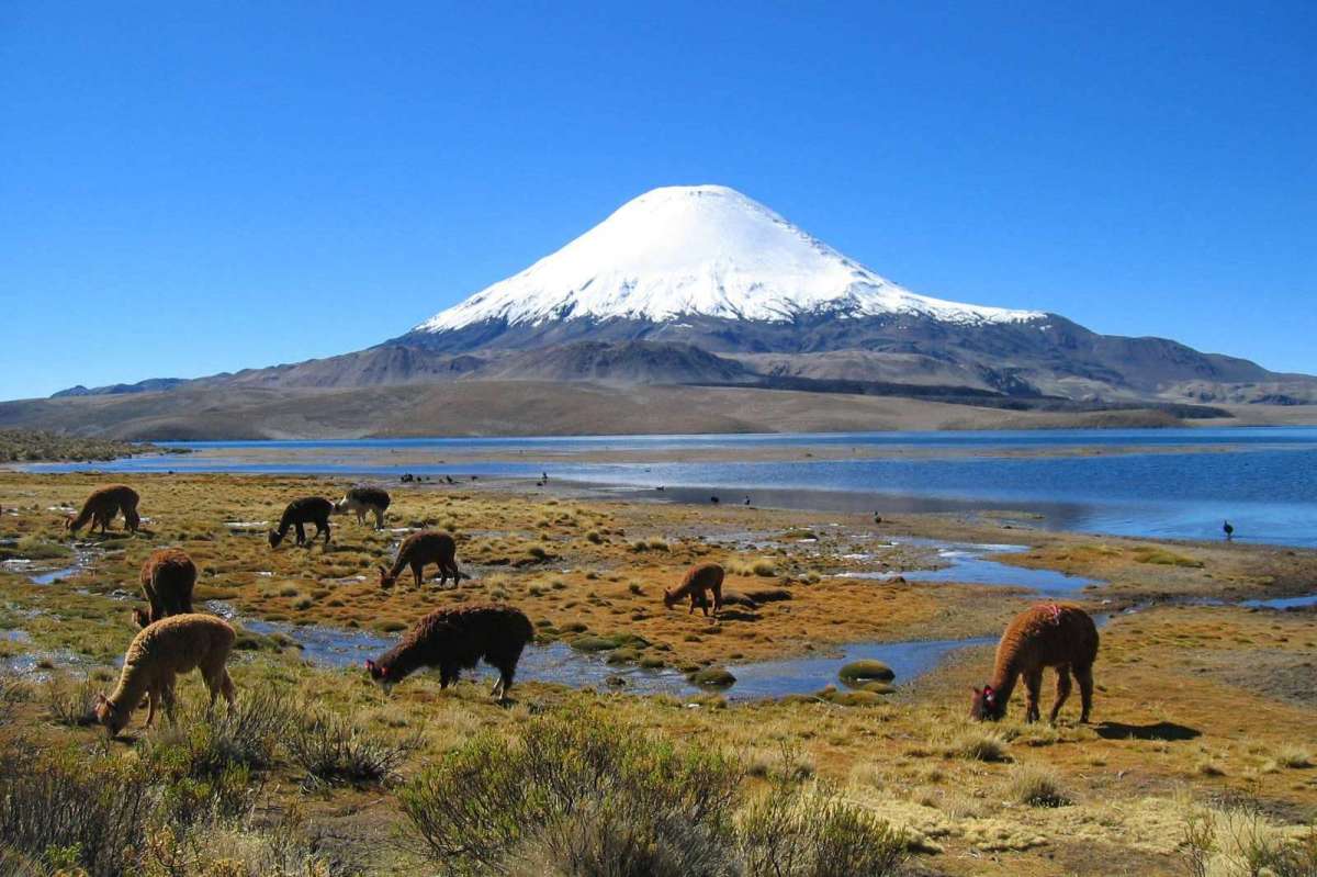 Parc national pan de azucar 