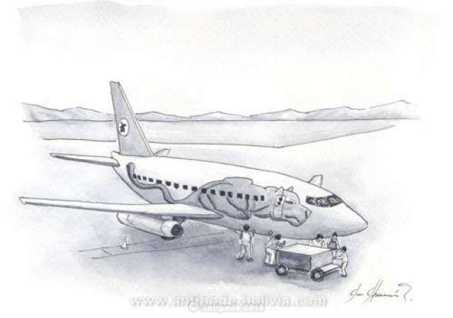Domestic airlines in Bolivia