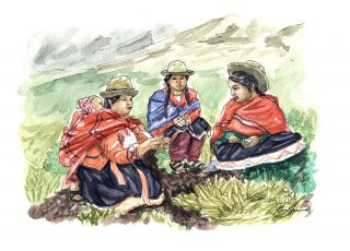 What is the population way of living in the Andes?