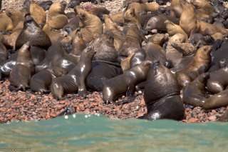 Paracas National Reserve