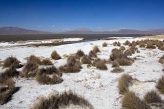 Salinas y aguadas Blanca National Reserve 
