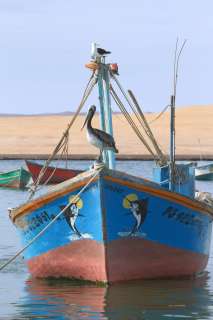 The fishing village of Lagunillas