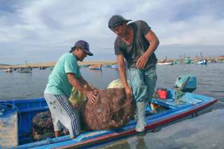 The fishing village of Lagunillas