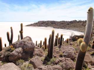 In 4x4 discovery of the Salar d'Uyuni then flight to La Paz