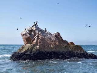  Les îles Ballestas et buggy à l'Oasis de Huacachina