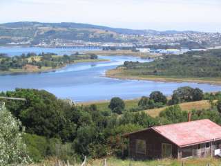 Ancud historique - Colonie de pingouins