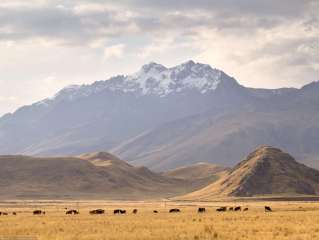 Arequipa / Puno