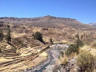  Colca Canyon and departure to Puno