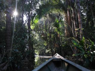 Départ pour l'Amazonie