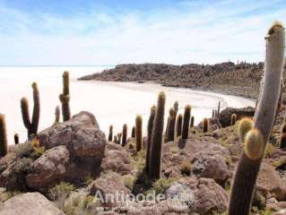 Departure for the Salar of Uyuni and its domes!