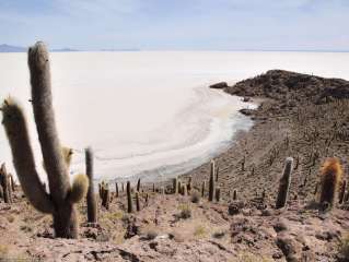 In 4x4 Discovery of the famous salar of Uyuni
