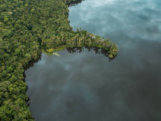 Amazon Rain forest