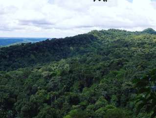 The Amazon Jungle (Day 3)