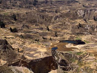 Trekking dans le canyon de Colca