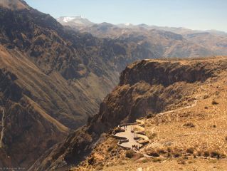 Trekking dans le canyon de Colca