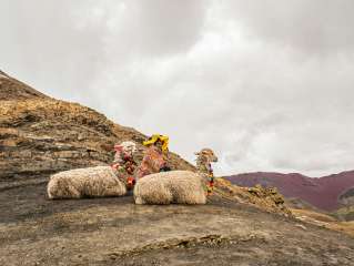 Visit to Palccoyo (Mountain of Seven Colours)
