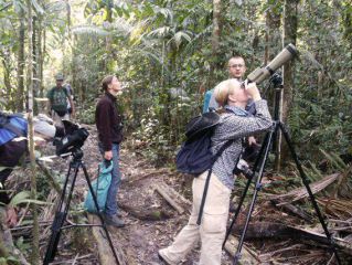 Visite de l'Amazonie