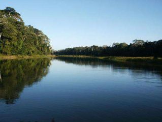 Visite de l'Amazonie