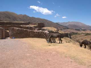 Visite des 4 sites archéologiques de Cusco à cheval
