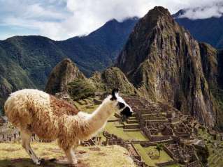Visiting Machu Picchu