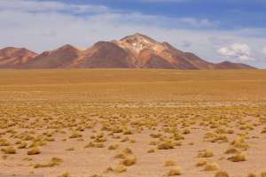 Hauts plateaux des Andes