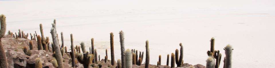 Le Salar d'Uyuni en 1 jour
