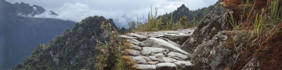 Les marches andines