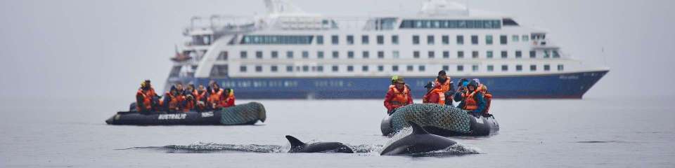 Cruises